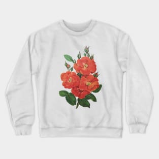 Vintage Rose Floral Flower Illustration Pretty Red Crewneck Sweatshirt